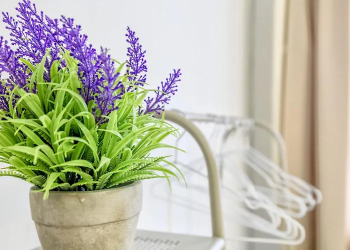 Essence, Parking Incluido Junto Al Centro Y Casco Historico Appartement